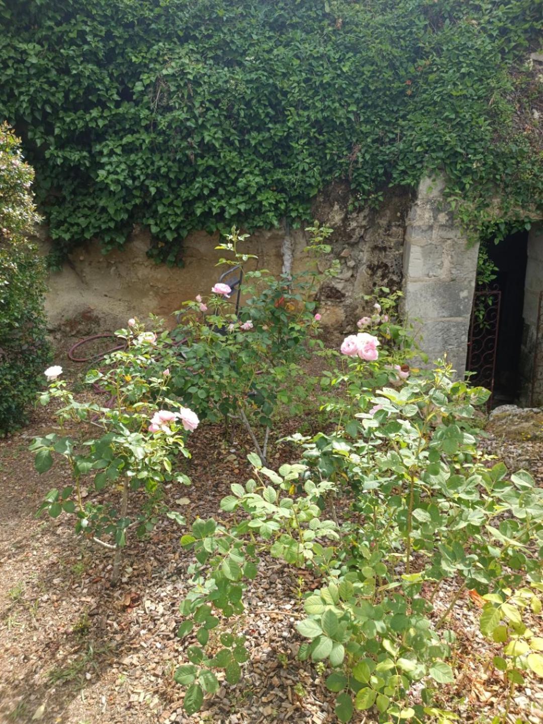 Chambres D'Hotes Manoir De Montecler Chènehutte-les-Tuffeaux Esterno foto