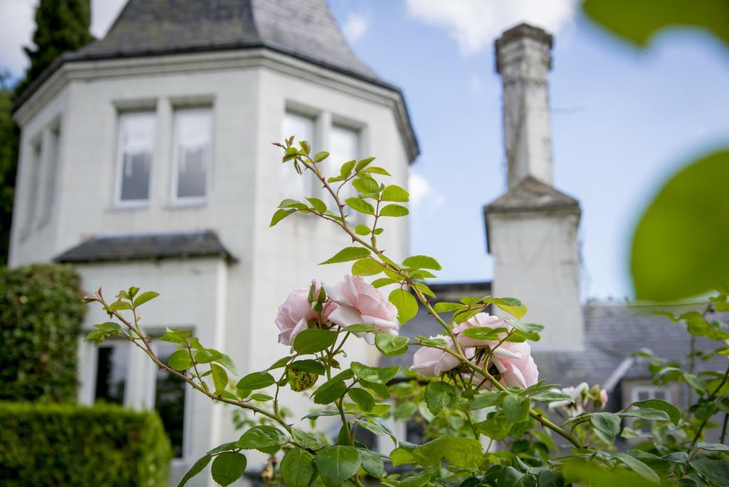 Chambres D'Hotes Manoir De Montecler Chènehutte-les-Tuffeaux Esterno foto